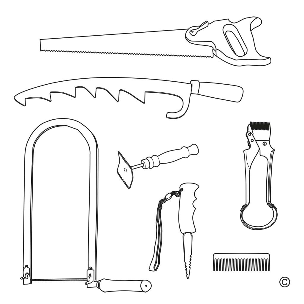 saw-/comb-shaped