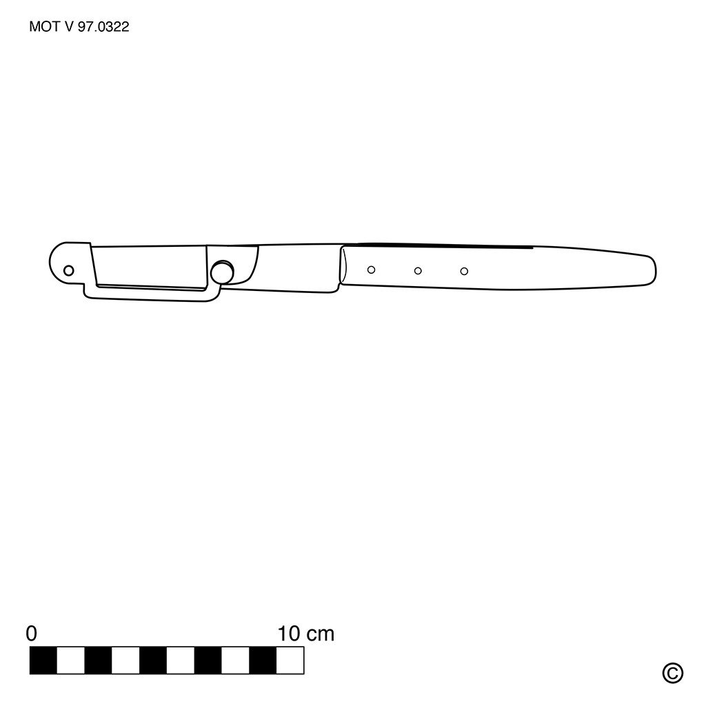 Aspergeschiller (m.)