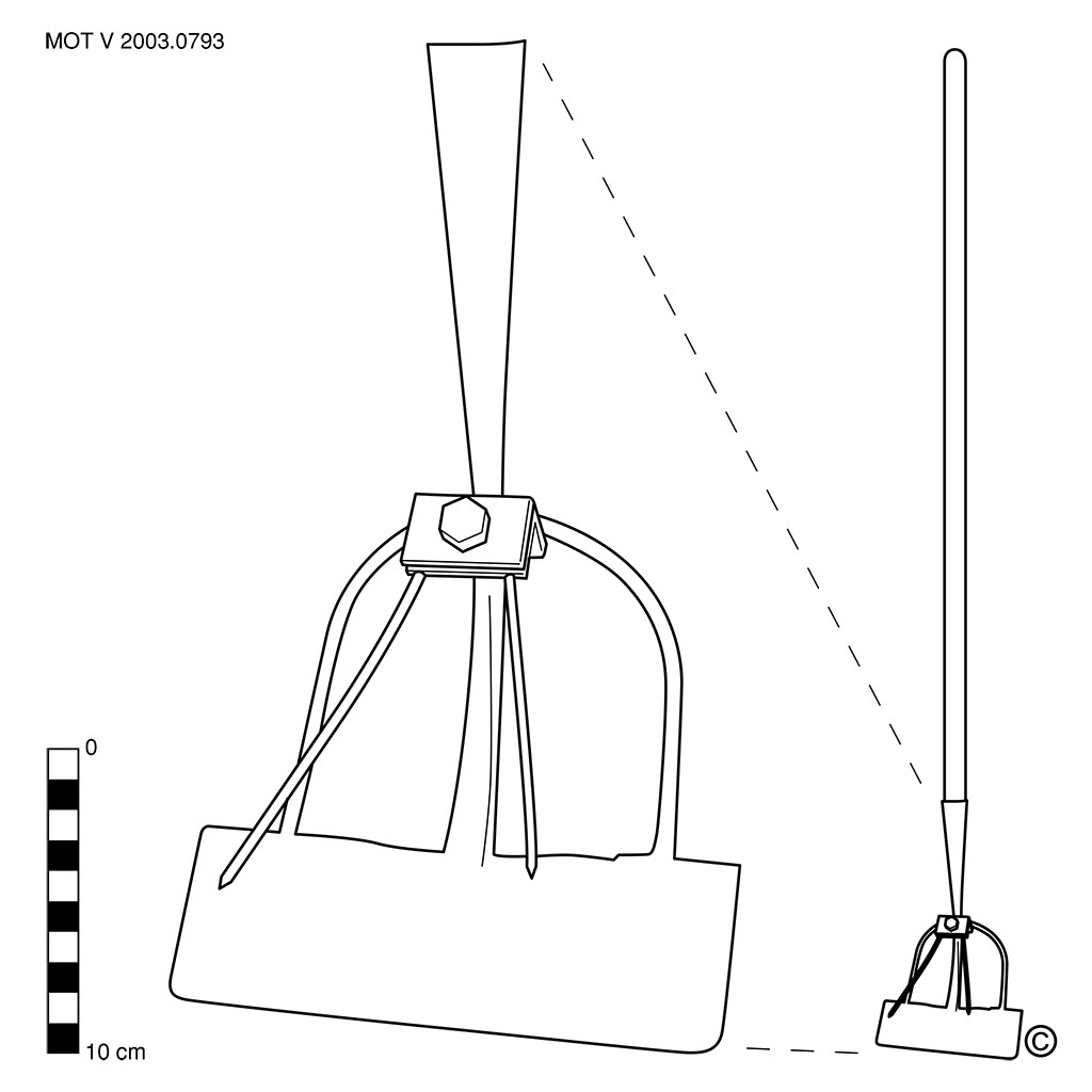 Pelle-décolleteuse de betteraves (f.)