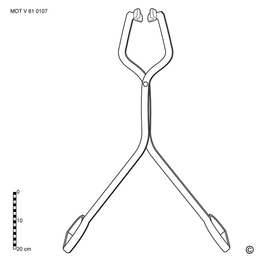 Beet lifting tongs