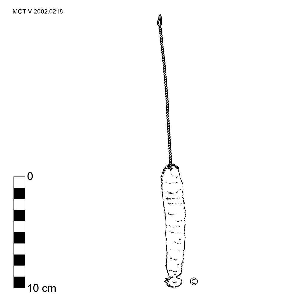 Recorder brush