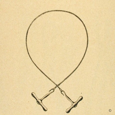 Fil-scie (médecin) (f.)