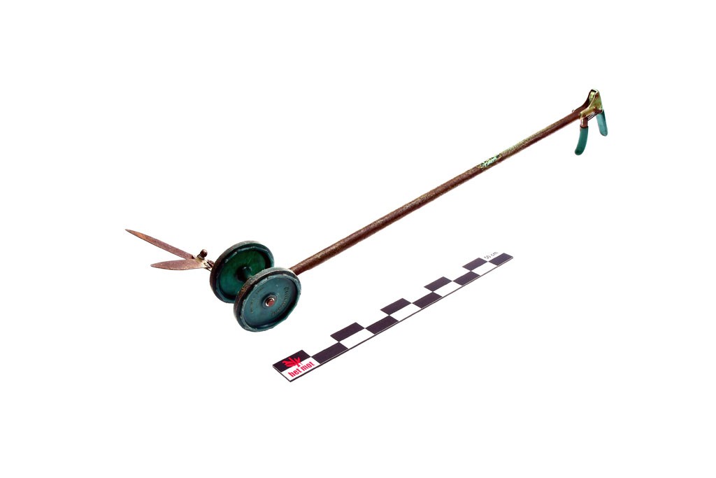 Grasschaar (v.)