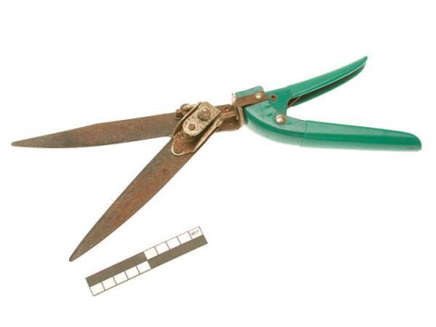 Grass shears