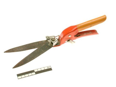 Grass shears