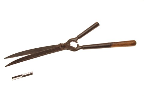 Hedge shears