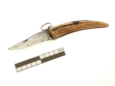 Hunting knife (folding)