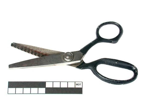 Pinking shears