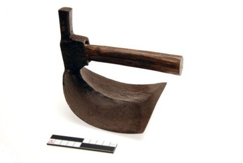 Klompenmakersdissel (m.)