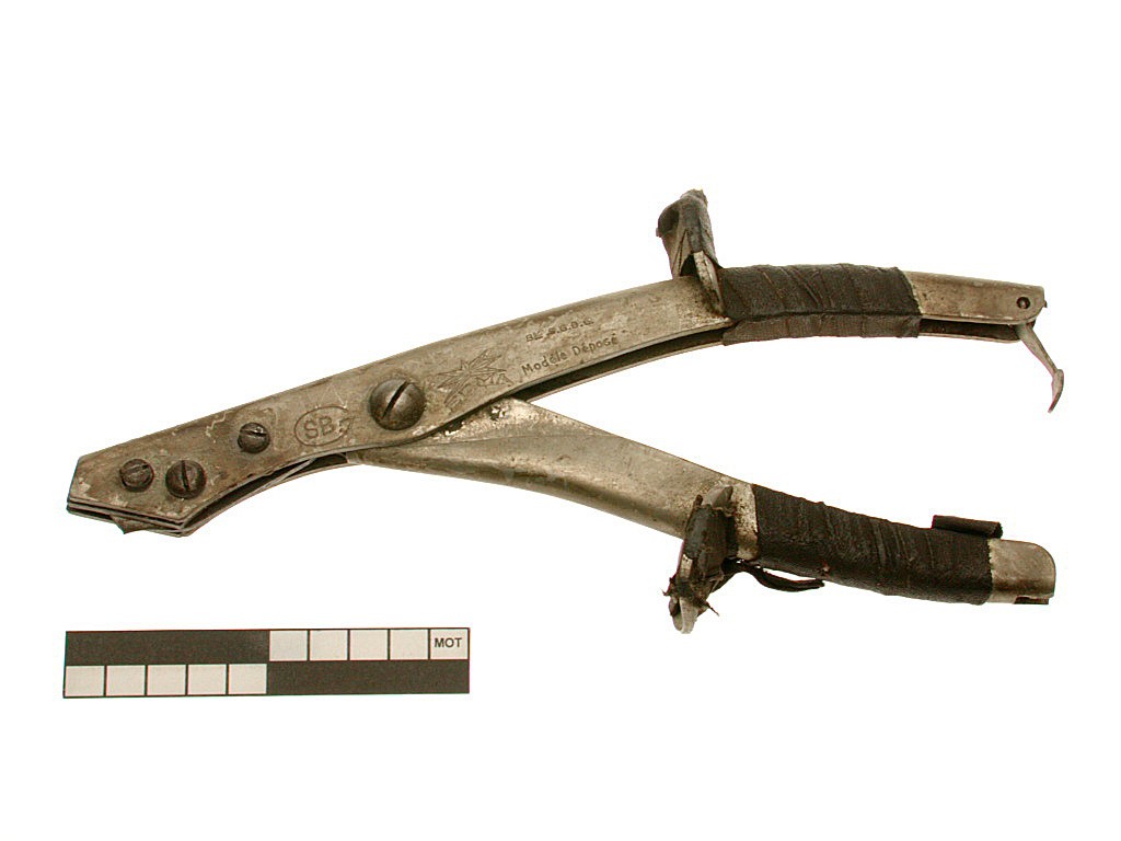 Knabbelschaar (v.)