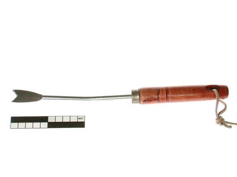 Gouge à pissenlits (f.)