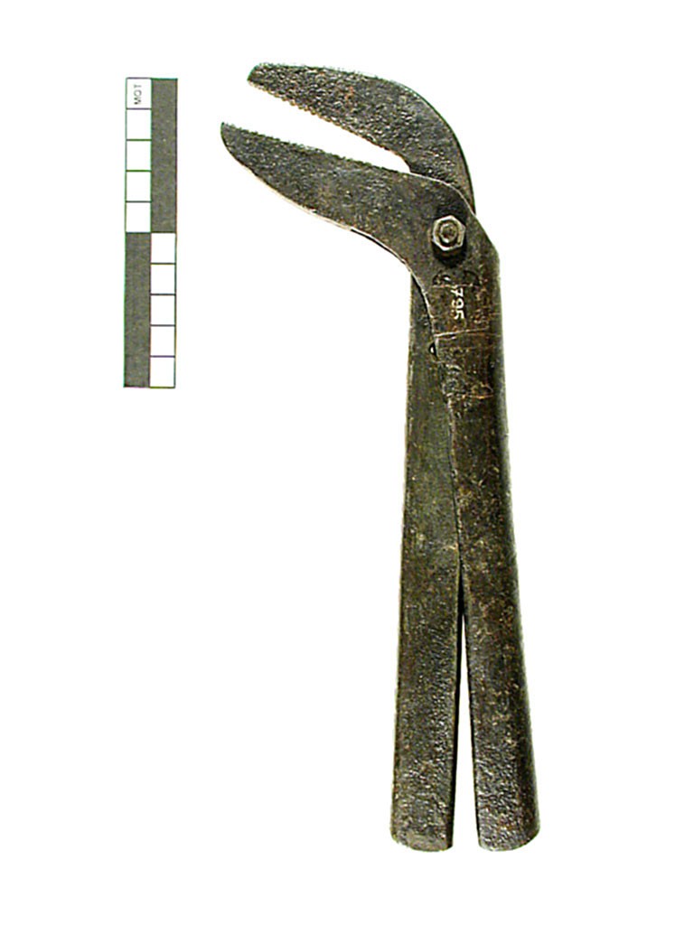 Pipe tongs