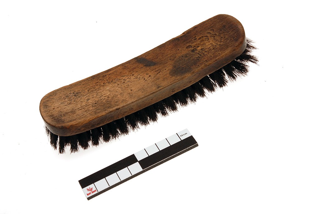 Shoe shine brush