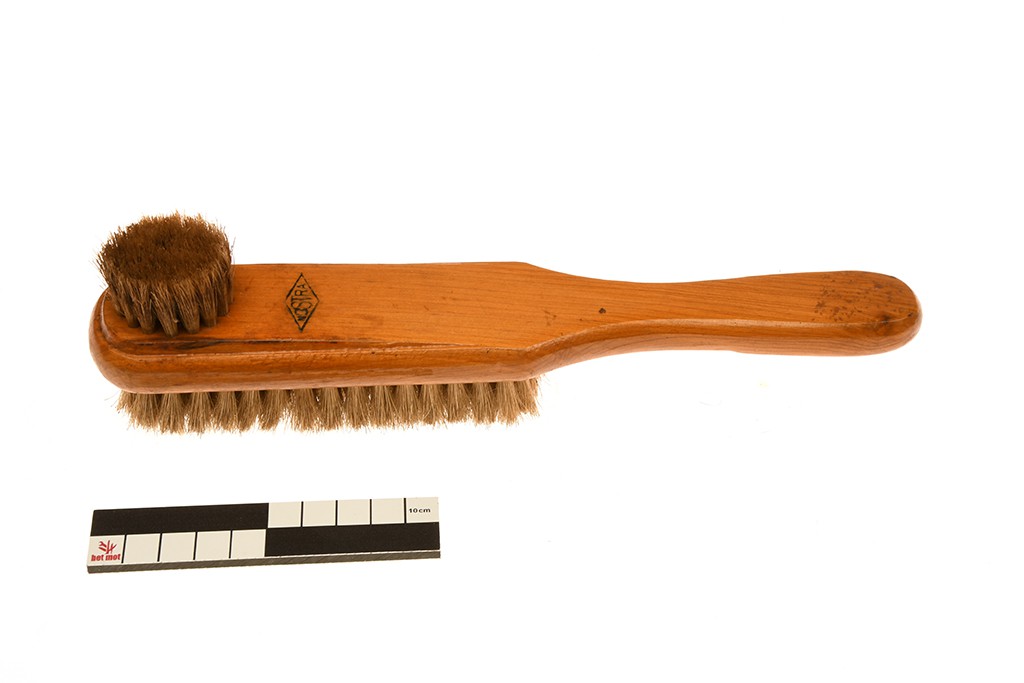 Shoe shine brush