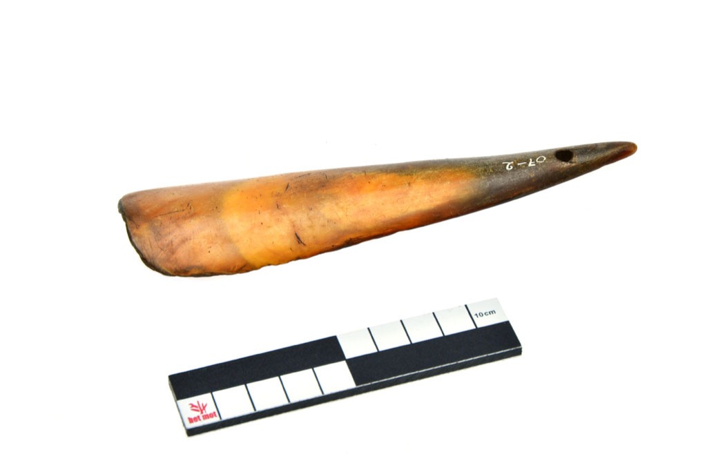 Shoehorn