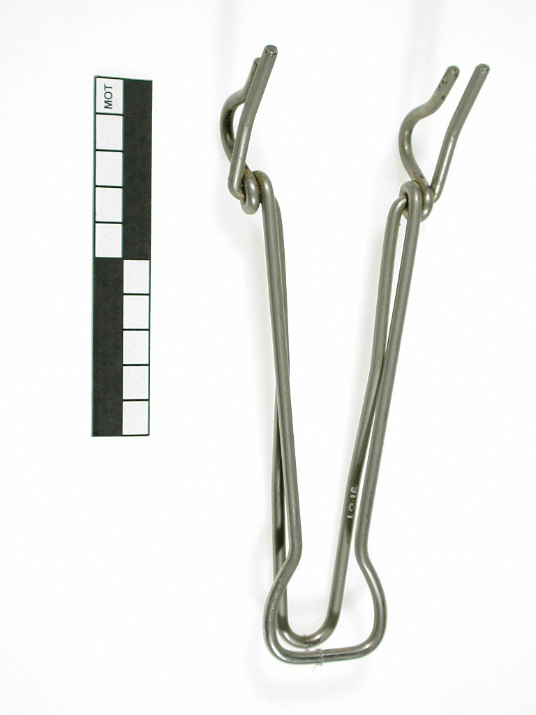 Plate tongs