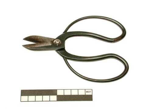 Pruning shears