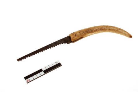 Pruning saw