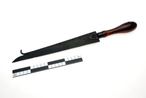 Pruning saw