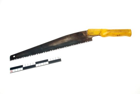 Pruning saw