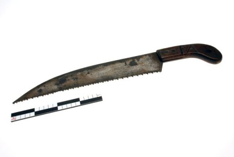 Pruning saw