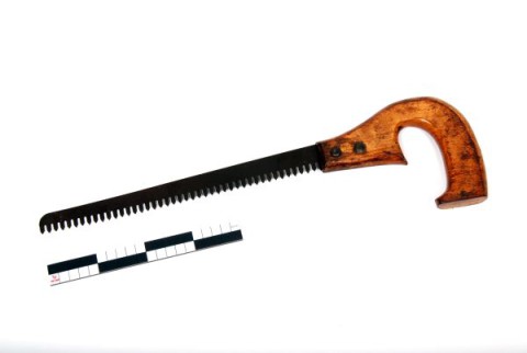 Pruning saw