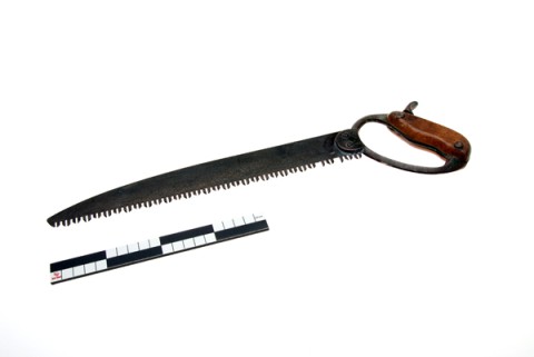 Pruning saw