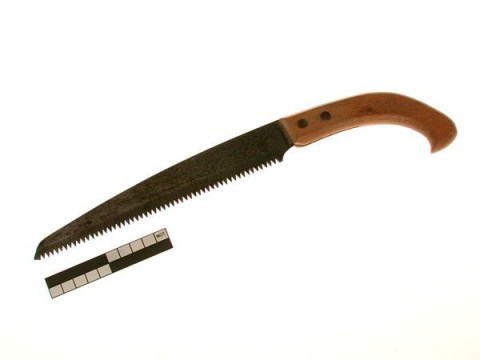 Pruning saw