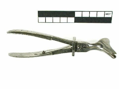 Speculum (o.)
