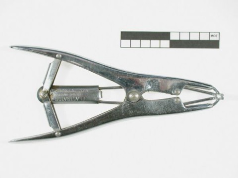 Elastration pliers