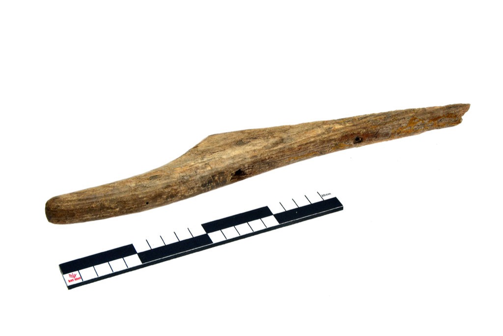 Rame de batelier (f.)