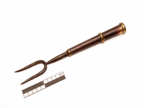 Walking stick with fork