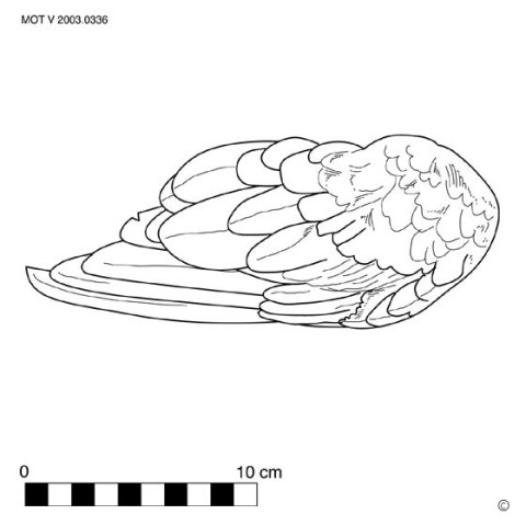 Wiek (werktuig) (m.)