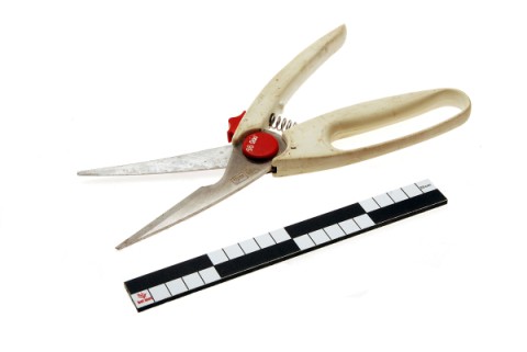 Poultry shears