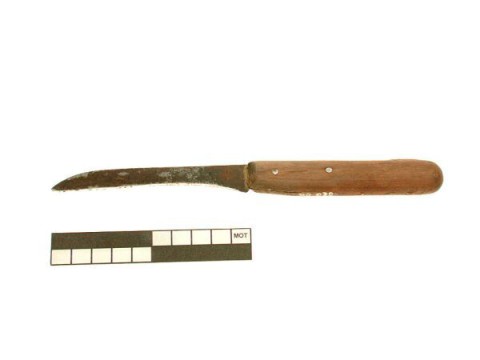 Chicory knife
